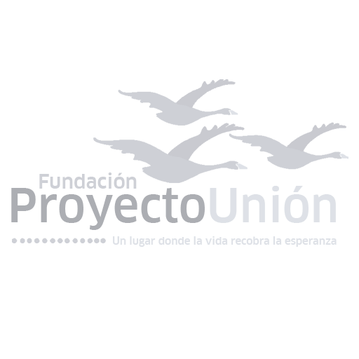 Proyecto Union